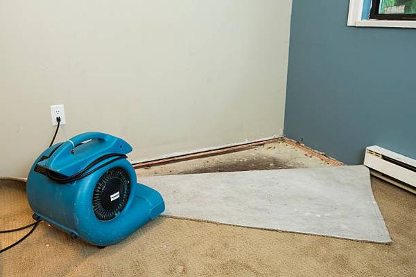 Water Damage Restoration Near Me Fast and Effective Solutions