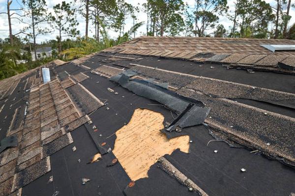 Finding Reliable Roof Replacement Contractors in Jacksonville